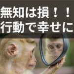 なぜ勉強する？無知は損で高リスク＆行動力を得て幸せになるため！